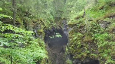 Kaya ormanındaki en iyi manzara deliği. Stok görüntüleri. Ormanın derinliklerinde dağ kayalarında çökme meydana vardı. Kaya orman manzara kasvetli depresyon oluşturan çöktü
