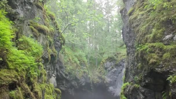 Вид на ущелину між скелями в лісі. Кадри з запасу. Дві скелі, вкриті мохом, висять над невеликою ущелині з туманом на фоні лісу. Ущелині наводить страх ваш містичний серпанок — стокове відео