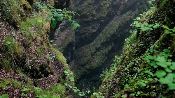 Gorge in rock overgrown with moss and grass. Stock footage. Small cleft among rocks wet and covered with moss with light haze — Stock Photo, Image