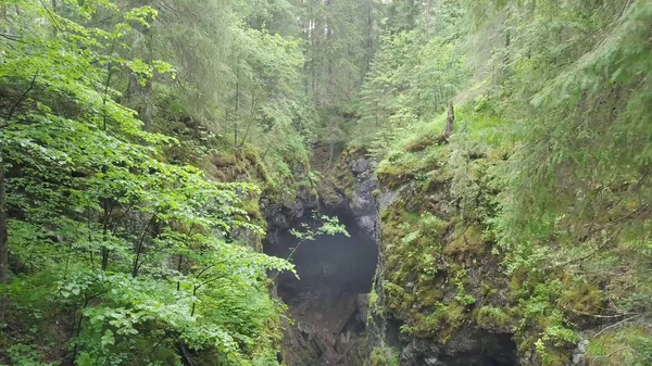 Top view hole in rock forest. Stock footage. In depths of forest there was collapse in mountain rock. Rock collapsed forming gloomy depression in forest landscape