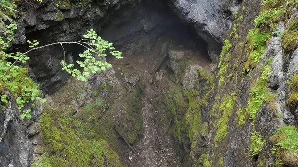 Top view of gorge between rocks in forest. Stock footage. Two cliffs covered with moss hang over small gorge with fog on background of forest. Gorge suggestive fear your mystical haze — Stock Photo, Image