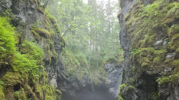 Vista dall'alto di gola tra rocce nella foresta. Filmati delle scorte. Due scogliere coperte di muschio pendono sopra piccola gola con nebbia su sfondo di foresta. Gola suggestiva paura la tua mistica foschia — Foto Stock