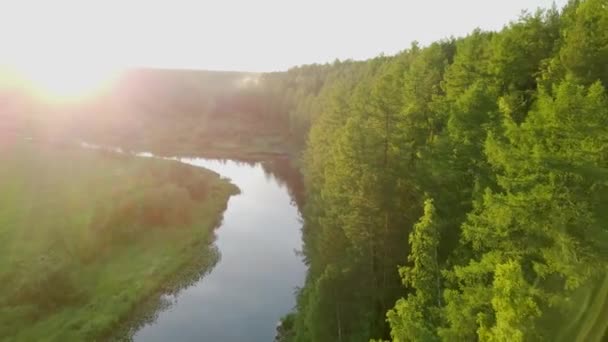 Heldere zonnige stralen vallen op het groene bos door de rivier. Stock footage. Warm zonlicht valt op prachtige dichte bos met rivier reflecterende heldere hemel. Zomer zonnig landschap met bos — Stockvideo