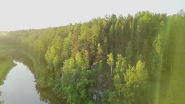 Raios de sol brilhantes caindo na floresta verde por rio. Imagens de stock. A luz solar quente cai na bela floresta densa com o rio que reflete o céu claro. Verão paisagem ensolarada com floresta — Vídeo de Stock