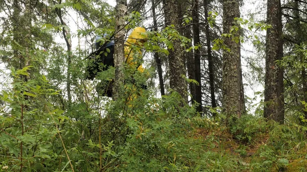 Мандрівники з рюкзаками в плащах йдуть в ліс під дощем. Стокові кадри. Мандрівники не бояться поганої погоди і дощу, одягнені в плащі, продовжують ходити по лісу — стокове фото