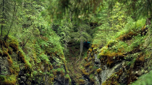 Az ember a sziklán áll erdőben. Stock Footage. Felülnézet utazó megragadt szorosban több mint szikla az erdőben. Mohos meredek szakáll, amelyben utazó akadt erdei kirándulás — Stock Fotó