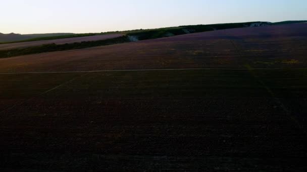 새벽에 시골 밭을 가로지는 도로. 총. 새벽에 어두운 농장 필드의 아름다운 시골 풍경의 최고 전망. 태양의 첫 번째 광선에 농촌 필드를 통해 실행 황무지 도로의 최고 보기 — 비디오