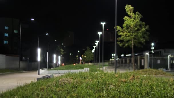 El parque de la ciudad está iluminado por linternas por la noche. Imágenes de archivo. Hierba verde con árbol balanceándose de la brisa ligera en el parque de la ciudad por la noche. Parque con bancos y césped verde iluminado por las luces de la ciudad en la noche de verano — Vídeo de stock