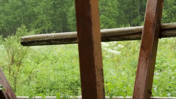 Železo a hůlky na pozadí lesa. Skladní záběry. Detailní detail sbaleného domu na pozadí lesa v dešti připomíná tragédii — Stock video