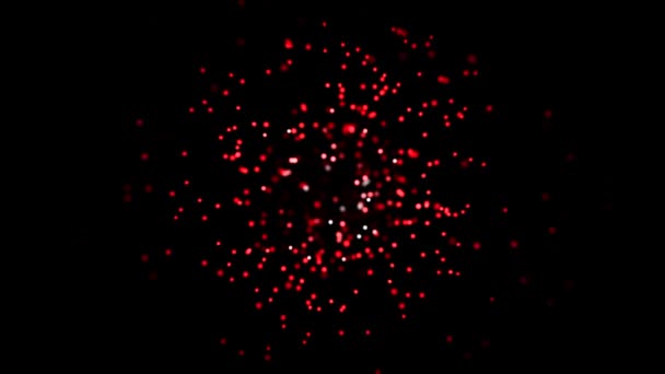 Kleurrijke abstracte animatie van kleine glinsterende vervaagde deeltjes die chaotisch zweven op de zwarte achtergrond. Animaion. Dynamische kleurrijke animatie op de zwarte achtergrond — Stockvideo