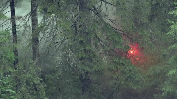 Красный сигнал. Запись. Пешеход запускает ракету красного сигнала в туманном темном лесу. Путешественник потерялся во время похода и ищет людей в лесу — стоковое видео