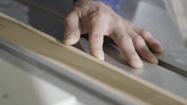 Testere makinesinde ahşap tahta kesme yakın çekim. Eylem. Dairesel testere ile endüstriyel makine kesikler ahşap tahta. Ahşap kesme makinesinde çalışan işçi ahşap atölyesi