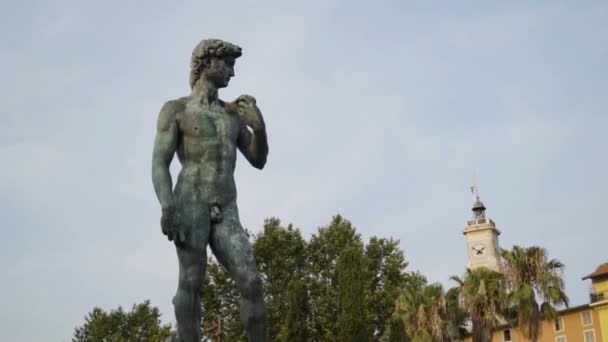 Statue of David in park. Action. Beautiful manly statue of David stands in park on background of sky. Nude statue of David is made of dark stone and stands on pedestal in park — Stock Video