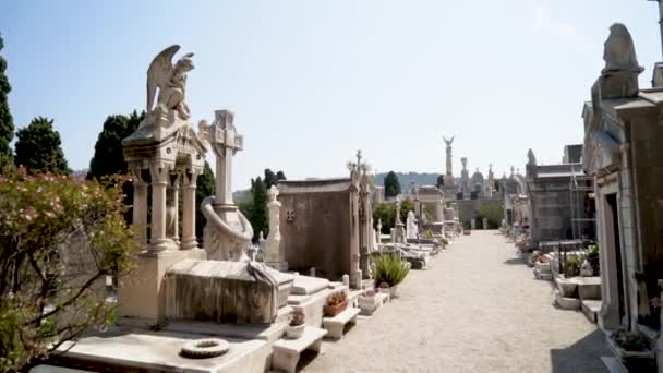 Ευρωπαϊκό νεκροταφείο με τάφους και γλυπτά. Δράση. Όμορφο τοπίο του Ευρωπαϊκού νεκροταφείου με την εκπληκτική ποικιλία γλυπτών και κρύπτες. Μνημείο λευκής πλάκας με γλυπτά — Αρχείο Βίντεο