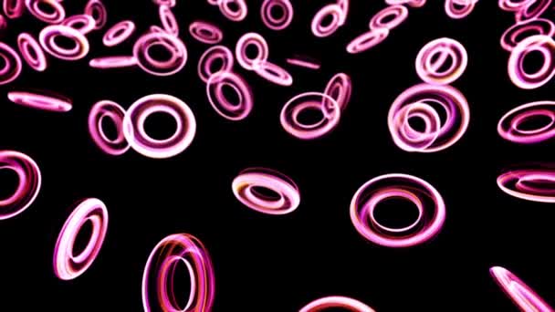 Abstract animation of colorful small neon rings shimmering and floating on the black background. Animation. Glowing rings in the dark — ストック動画