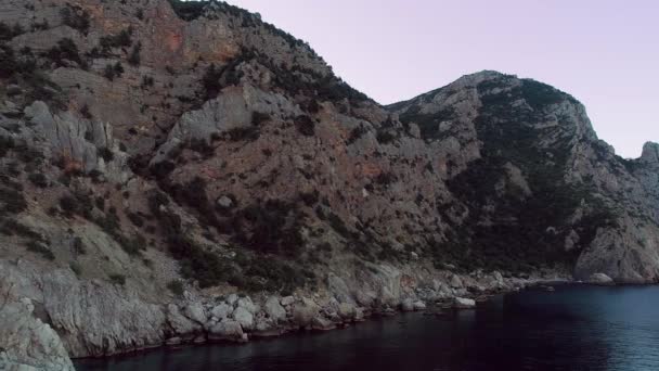 Rari alberi sulla costa rocciosa vicino all'acqua. Gli hanno sparato. Montagna rocciosa che scende verso l'acqua di mare sullo sfondo del cielo blu. Lato ombreggiato della roccia vicino all'acqua è coperto di vegetazione sulle sue sporgenze — Video Stock