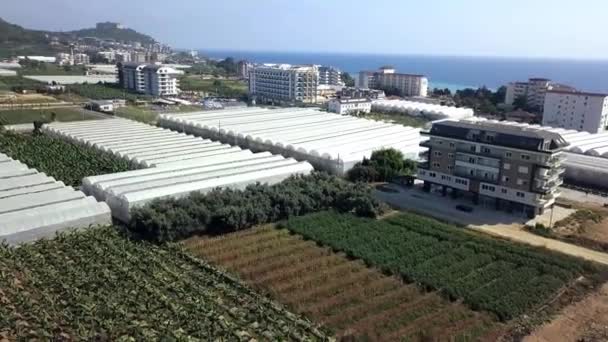 Blick von oben auf die Stadt der Plantagengewächshäuser. Clip. Bereich der Stadt mit Landwirtschaft auf den Anbau von Nahrungsmittelvegetation in der Nähe von Wohngebieten. urbane Landwirtschaft an der Küste im Sommer — Stockvideo