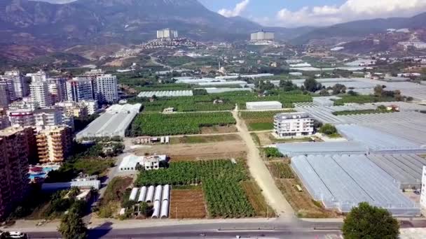 Top view of urban agriculture with greenhouses. Clip. Panorama of urban plantations with greenhouses for growing food plants. Urban plant agriculture on background of mountains — Stock Video