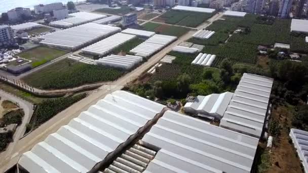 Top view of greenhouses with fields for growing food plants. Clip. Urban agriculture to provide population with plant products all year round. Greenhouses and fields in summer — Stock Video