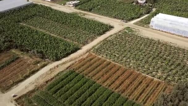 Top view of small fields for growing of food plants. Clip. Various fields of small areas for growing food vegetation for local population. Plant agriculture — Stock Video