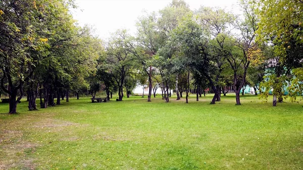 Yazın açık şehir parkı. Vuruldu. Yeşil çimenli açık alanlar ve şehir parkında toplanma yeri. Şehir parkındaki ağaçlarla çevrili çimenlerin üzerinde dinlenmek için rahat yerler — Stok fotoğraf