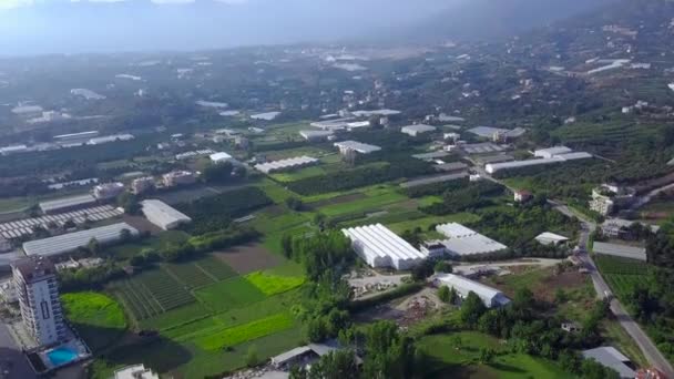 Vue de dessus des champs agricoles avec des plantes vertes en ville. Clip. Parcelles de champs agricoles avec serres cultivant des plantes alimentaires pour la population locale — Video