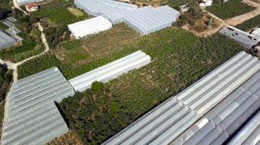 Çiftlik seraları şehrinin en iyi manzarası. Şarjör. İkamet alanlarının yakınındaki gıda bitkilerinin yetiştirilmesi üzerine tarım yapılan bir şehir. Yazın kıyıda şehir tarımı