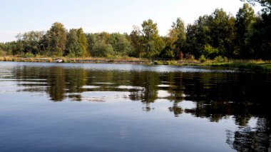 Arka planda ormanın yansımasıyla gölün dalgalanan yüzeyi. Şarjör. Orman manzarasının gölün sularındaki yansıması. Göllü güzel orman manzarası