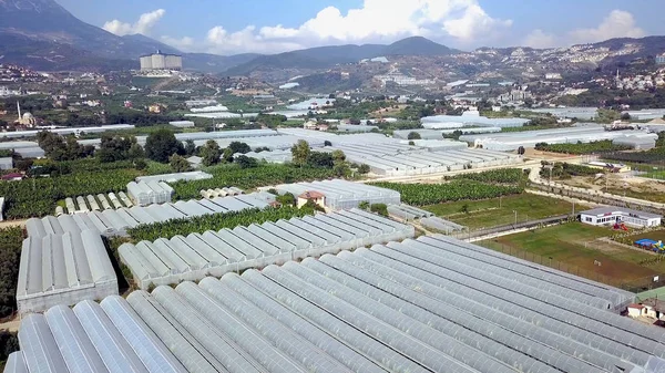 Top view of urban agriculture with greenhouses. Clip. Panorama of urban plantations with greenhouses for growing food plants. Urban plant agriculture on background of mountains