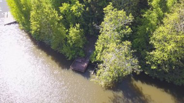 Barışçıl nehir ve orman kıyısı, insansız hava aracı tarafından vuruldu. Şarjör. Nehir, ahşap iskele ve güneşli bir yaz gününde kıyı boyunca uzanan birçok yeşil ağaçlı doğal manzara için hava..