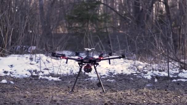 Czarny quadcopter startujący z ziemi w lesie z wieloma liśćmi lecącymi na boki. Klip. Dron unoszący się nad ziemią, koncepcja filmowania z powietrza. — Wideo stockowe