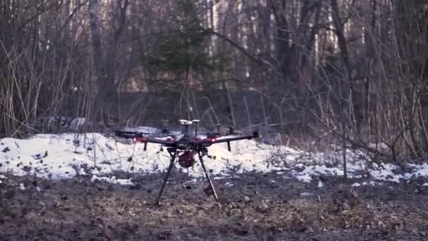 Μαύρο quadcopter απογειώνεται από το έδαφος στο δάσος με πολλά φύλλα που πετούν στα πλάγια. Κλιπ. Ένα drone που αρχίζει να αιωρείται πάνω από το έδαφος, εναέρια κινηματογράφηση έννοια. — Αρχείο Βίντεο