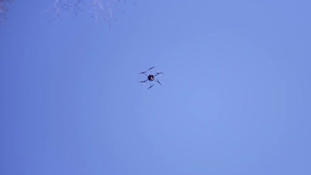 Widok z dołu drona z obrotowymi ostrzami latającymi na niebieskim niebie. Klip. Quadcopter z wirującymi ostrzami wznoszącymi się na jasnym tle nieba. — Wideo stockowe