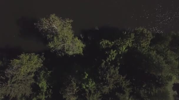Acqua verde, molo di legno e alberi verdi, vista dal drone volante. Clip. Vista aerea dall'alto di una banchina tra i tres sulla riva del fiume di notte . — Video Stock