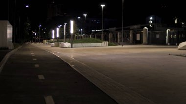 Gece sokak lambalarıyla şehir parkından geçen yol. Stok görüntüleri. Gece geç saatlerde parkta sokak lambaları, yeşil çimenler, romantik bir ortam..