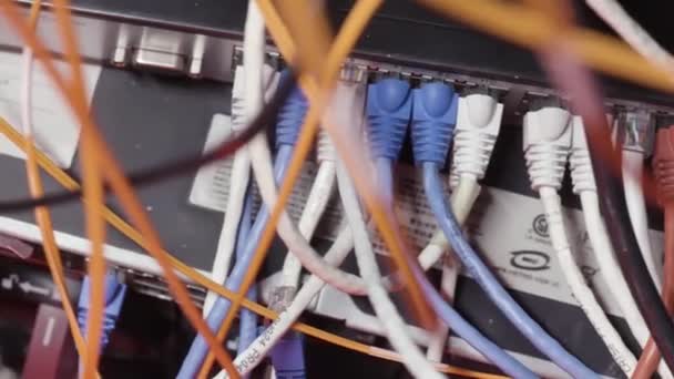 Close up for white and blue network cables connected to switch in the server room. Action. Rack in the data center with working equipment and optical cables. — Stock Video