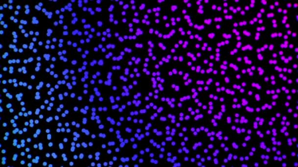 Número infinito de pequenos círculos coloridos gradiente balançando sobre fundo preto, loop sem costura. Animação. Nuvem de pontos voadores azuis e roxos, efeito bokeh . — Vídeo de Stock