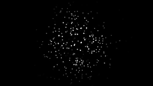 Abstrato hiperespaço com o movimento de velocidade da luz e das estrelas sobre fundo preto, laço sem costura. Animação. Voando de volta através da nuvem branca de partículas, monocromático . — Vídeo de Stock