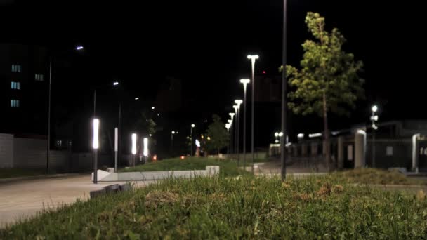 Hermosa pasarela del parque de la ciudad con lámparas y césped verde por la noche. Imágenes de archivo. Lugar público solitario con y sendero a lo largo de farolas modernas, árboles verdes y hierba . — Vídeo de stock