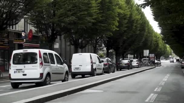 Förort gata med många bilar parkerade i linje på båda sidor av vägen. Lagerbilder. Vacker stadsgata med gröna träd som växer i två rader längs trottoaren. — Stockvideo
