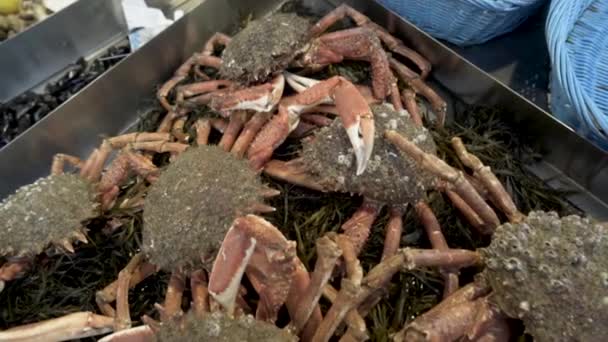 Bovenaanzicht van verse krabben op de vismarkt, zeevruchten en delicatesse concept. Actie. Sluiten voor krabben klaar voor verkoop liggend op het zeewier en metalen teller. — Stockvideo