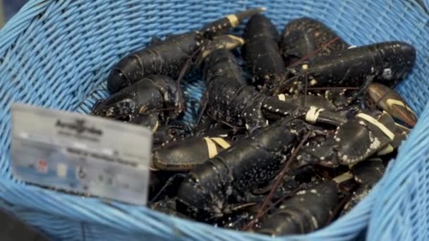 Grote verse kankers liggen in de blauwe plastic emmer, delicatesse, gastronomische zeevruchten. Voorraadbeelden. Close up voor de verse rauwe kreeft op de straatmarkt klaar voor verkoop. — Stockvideo