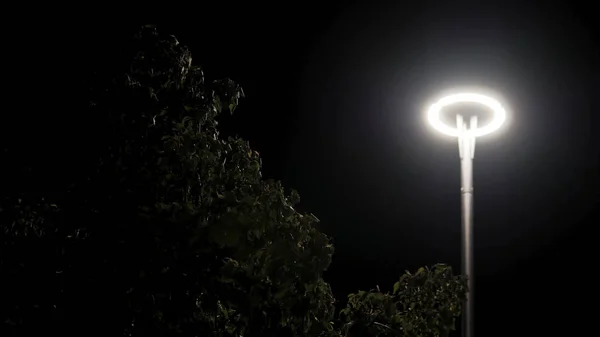 Bright glowing street lamp and tree branches with green leaves on black sky background. Stock footage. Deciduous tree swaying in the wind under the street light at night.