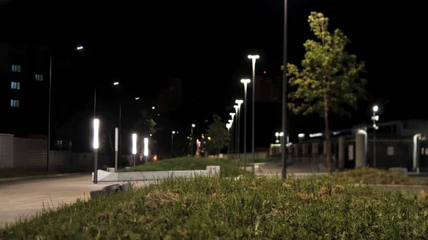 Bela passarela do parque da cidade com lâmpadas e gramado verde à noite. Imagens de stock. Lugar público solitário com e caminho ao longo de lâmpadas de rua modernas, árvores verdes e grama . — Fotografia de Stock