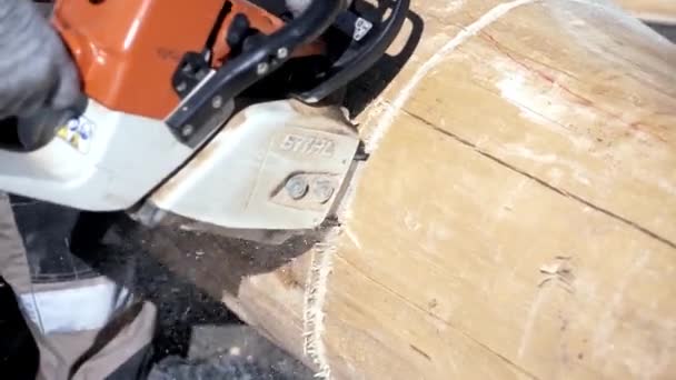 Close-up of man cuts log with chainsaw. Clip. Cutting treated logs with new chainsaw. Joiner works with cutting of wood by means of saw — Stock Video