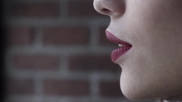 Seitenansicht Porträt einer sexy Frau Modell mit hellen Lippen Make-up und gesunde glänzende Haut, Schönheitskonzept. Aktion. Nahaufnahme einer schönen Frau, die ihre Lippen leckt — Stockvideo