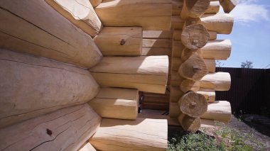 Kütük evin inşaatı. Şarjör. İnşaat aşamasında olan tahta odunlardan bir duvar. Duvarın dış kısımlarında ahşap evlerin çıkıntılı kütükleri var.