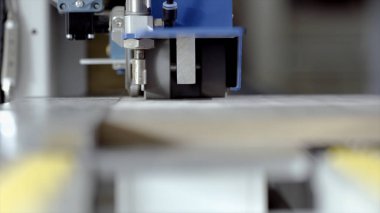 Yuvarlanan parçalar için makineye yakın çekim. Başla. Yuvarlanan ürünler için dönen dişli otomatik makine. Ahşap ürünleri işlemek için yeni makineleri olan endüstriyel girişim