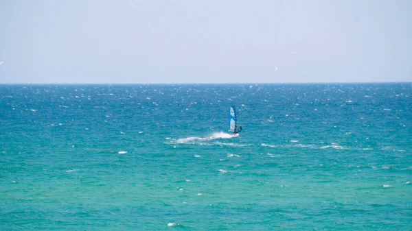 Windsurfer riding the waves in the sea. Shot. Windsurfer in the sea, man on windsurf conquering the waves, enjoying extreme sport, active lifestyle, happy summer vacation