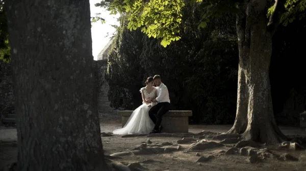 Bellissimi sposi sono seduti su una vecchia panchina in un parco verde. Azione. Lo sposo elegante abbraccia la bella sposa in giardino. Fotografia di nozze . — Foto Stock